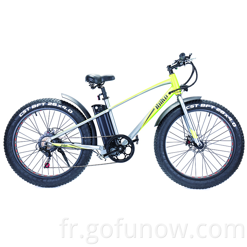 Ventes chaudes de vélo de montagne électrique rétro classique sur le stockage E- vélo el vélo électrique Bikes 500W 1000W G-FUN